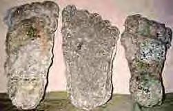 Bigfoot track casts